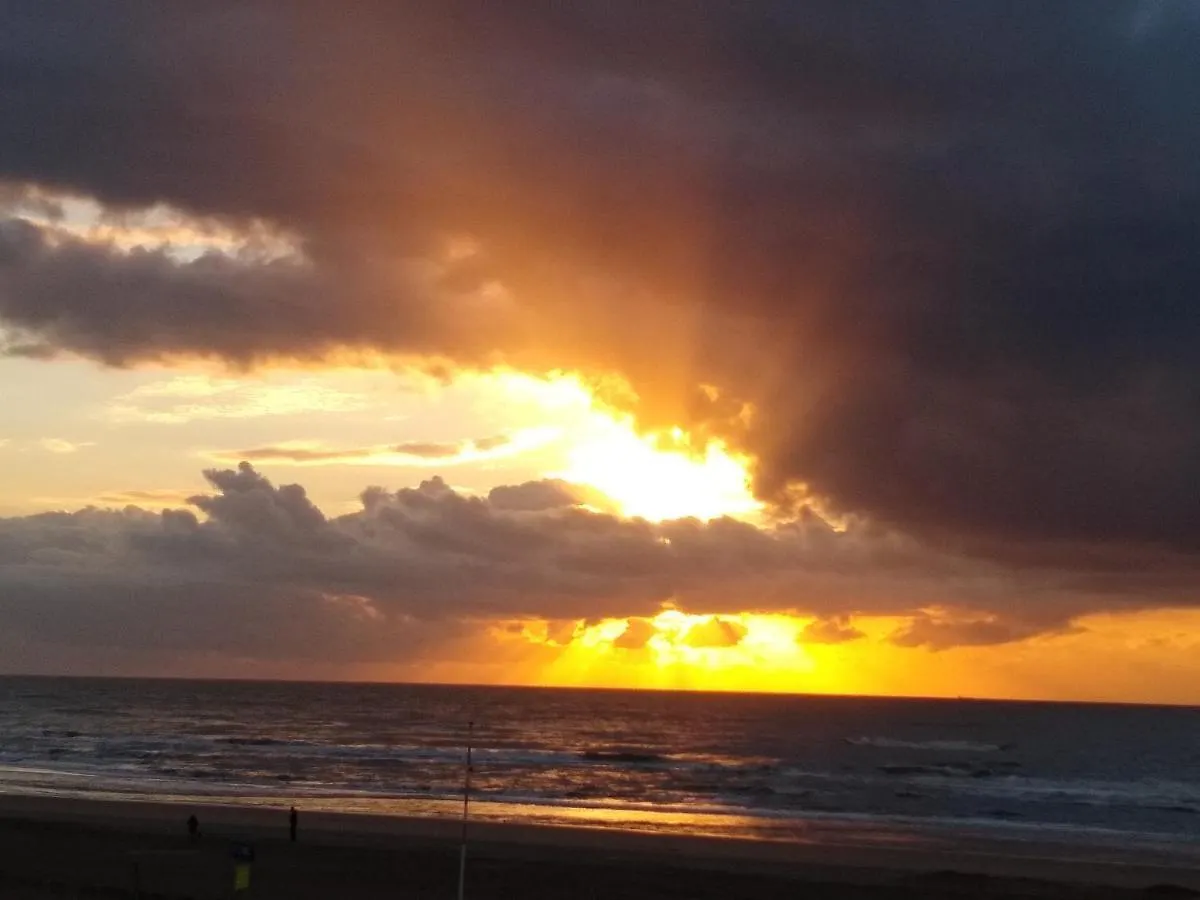 Duinen Paradijs Zandvoort 0*,